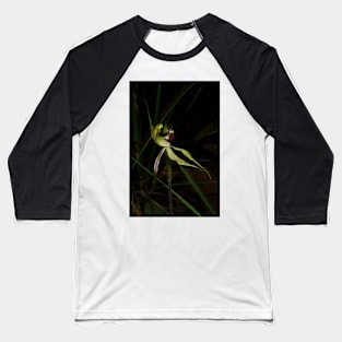 Early Spider Orchid Baseball T-Shirt